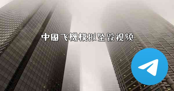 中國飞機模拟坠毁视频
