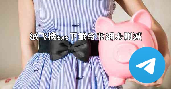 纸飞機txt下載奇书網未刪減