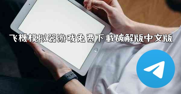 飞機模拟器游戏免费下載破解版中文版