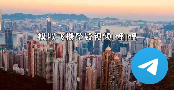 模拟飞機坠毁视频哔哩哔哩