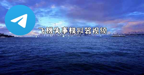 飞機失事模拟器视频