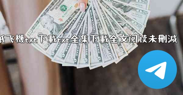 纸飞機txt下載txt全集下載全文阅读未刪減