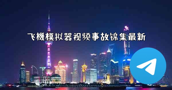 飞機模拟器视频事故锦集最新