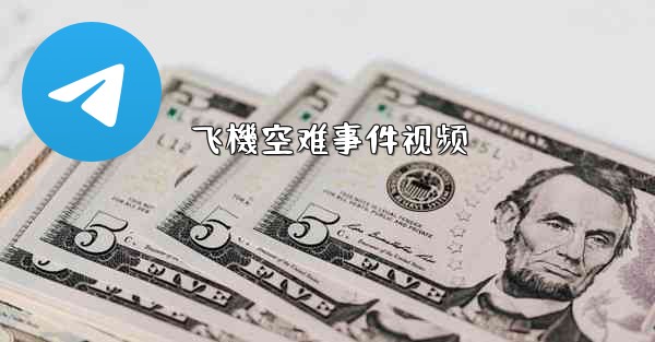 飞機空难事件视频