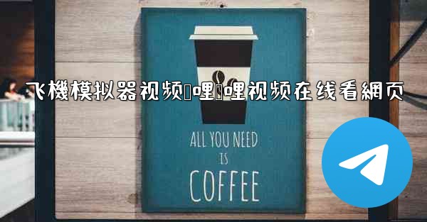 飞機模拟器视频哔哩哔哩视频在线看網页