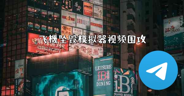 <b>飞機坠毁模拟器视频围攻</b>