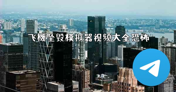 <b>飞機坠毁模拟器视频大全恐怖</b>