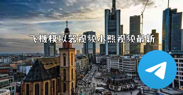 飞機模拟器视频小熊视频最新