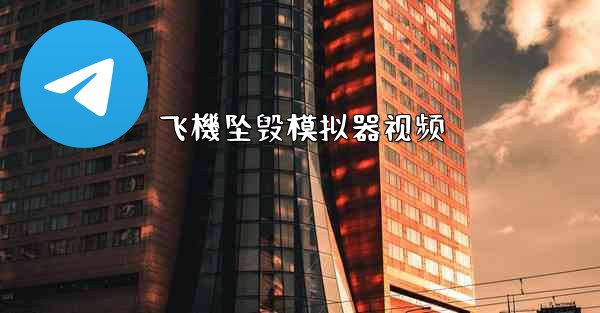 飞機坠毁模拟器视频