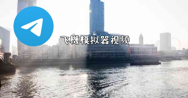 <b>飞機模拟器视频</b>