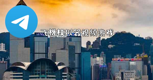 <b>飞機模拟器视频游戏</b>
