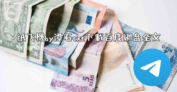 纸飞機by潭石txt下載百度網盘全文