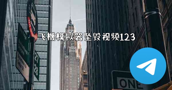 飞機模拟器坠毁视频123