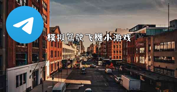 模拟驾驶飞機小游戏