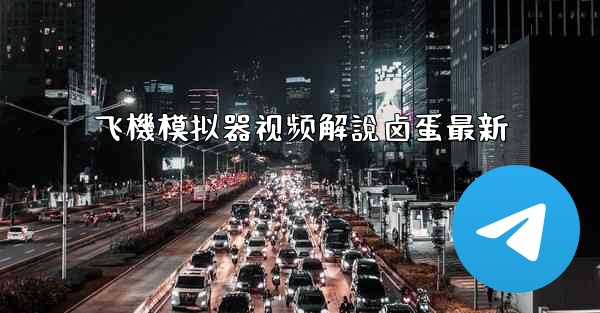 飞機模拟器视频解說卤蛋最新