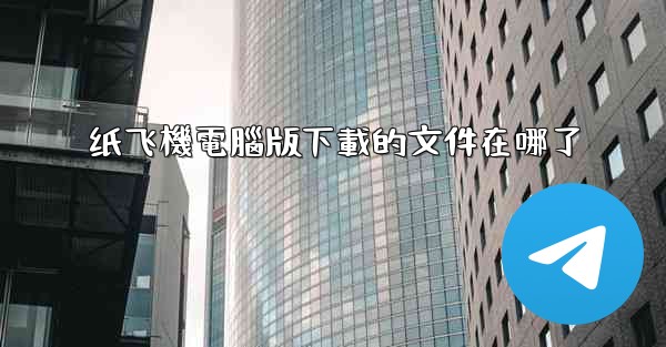 纸飞機電腦版下載的文件在哪了