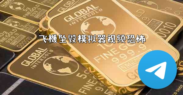 飞機坠毁模拟器视频恐怖