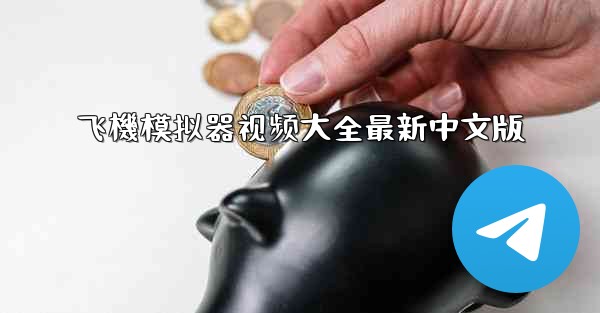 飞機模拟器视频大全最新中文版