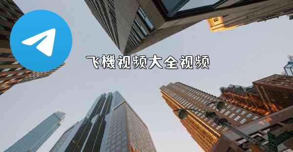 <b>飞機视频大全视频</b>