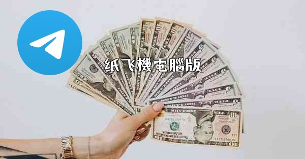 纸飞機電腦版