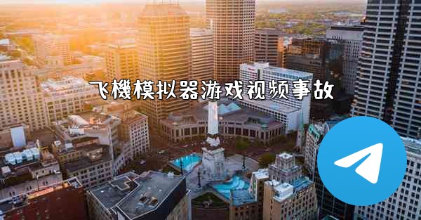 <b>飞機模拟器游戏视频事故</b>