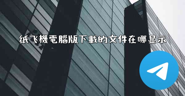 纸飞機電腦版下載的文件在哪显示