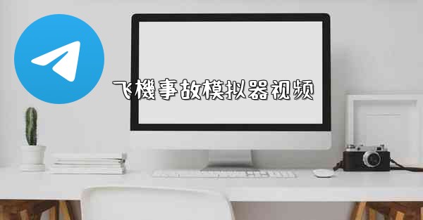 飞機事故模拟器视频
