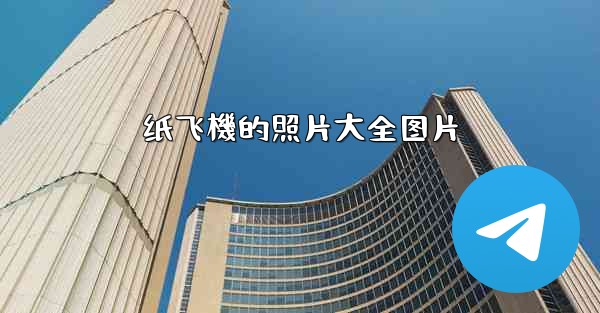 <b>纸飞機的照片大全图片</b>