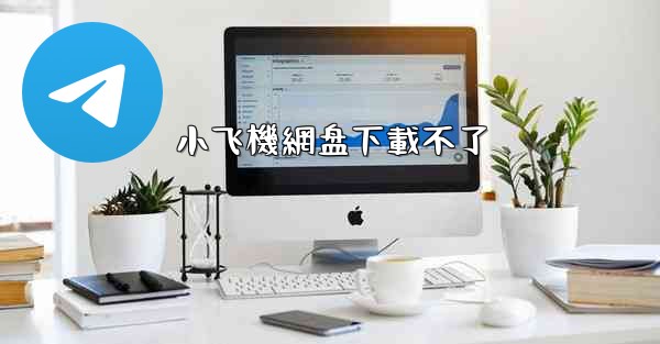 小飞機網盘下載不了