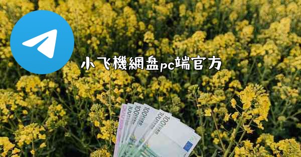 小飞機網盘pc端官方