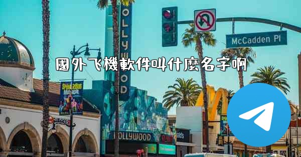 <b>國外飞機軟件叫什麼名字啊</b>