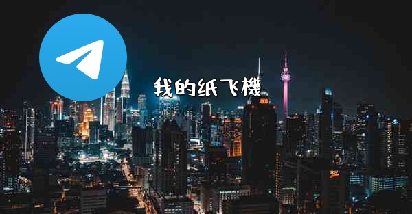 我的纸飞機