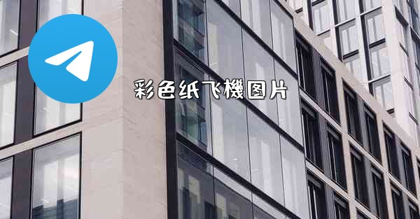 彩色纸飞機图片