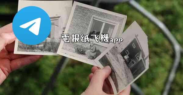 電报纸飞機app