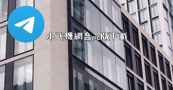 小飞機網盘pc版下載