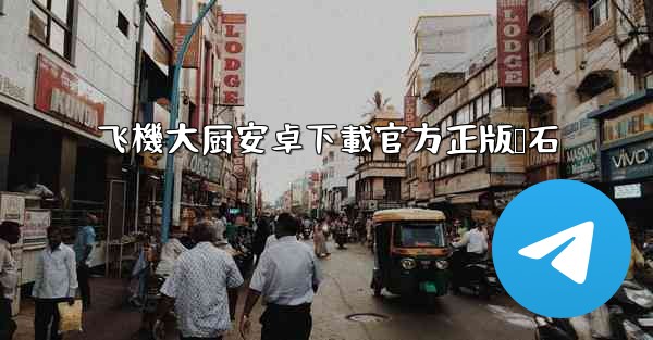 飞機大厨安卓下載官方正版钻石