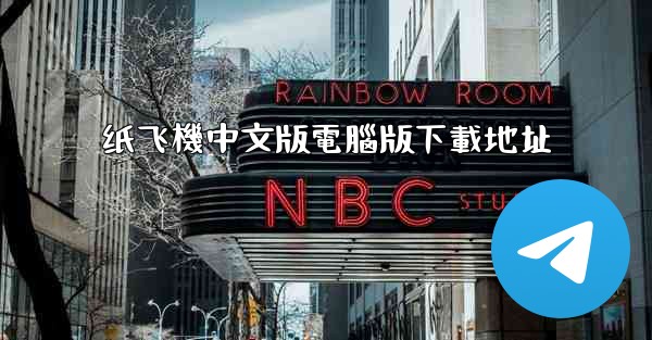 纸飞機中文版電腦版下載地址