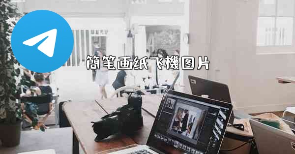 簡笔画纸飞機图片