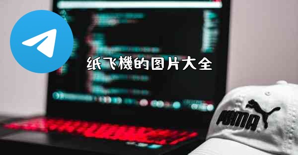 纸飞機的图片大全