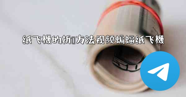 纸飞機的折叠方法视频蝙蝠纸飞機