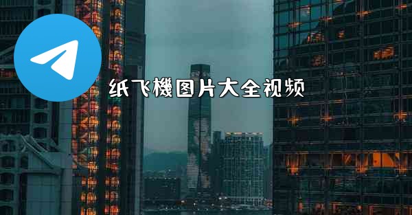 纸飞機图片大全视频