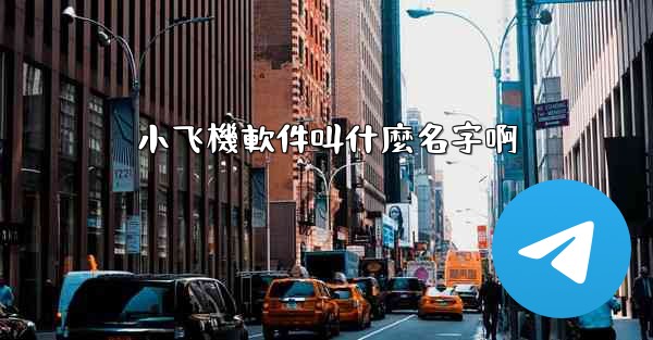 小飞機軟件叫什麼名字啊