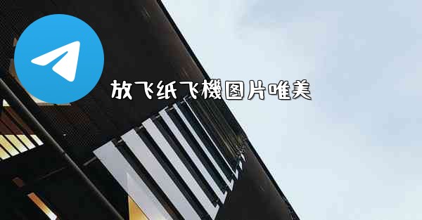 放飞纸飞機图片唯美