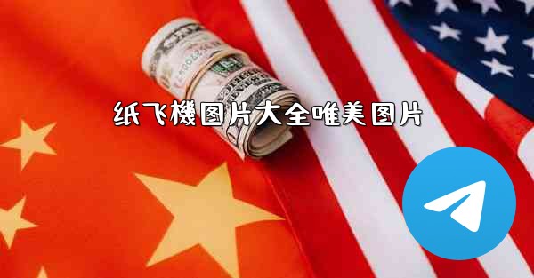 纸飞機图片大全唯美图片