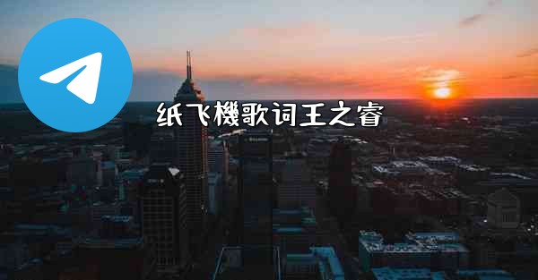 纸飞機歌词王之睿