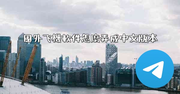 國外飞機軟件怎麼弄成中文版本