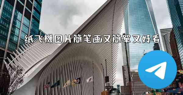 <b>纸飞機图片簡笔画又簡單又好看</b>