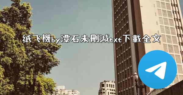 纸飞機by潭石未刪減txt下載全文