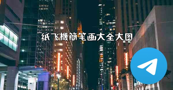 纸飞機簡笔画大全大图