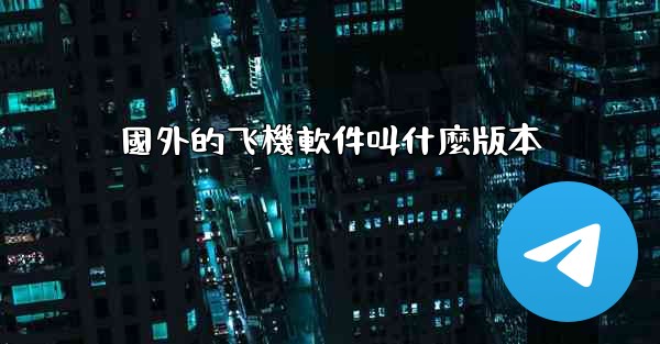 國外的飞機軟件叫什麼版本